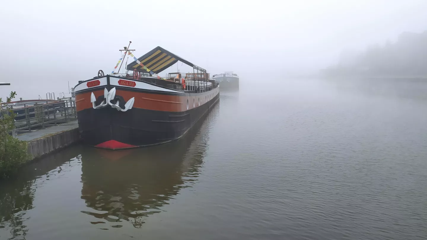 Dans la brume 3